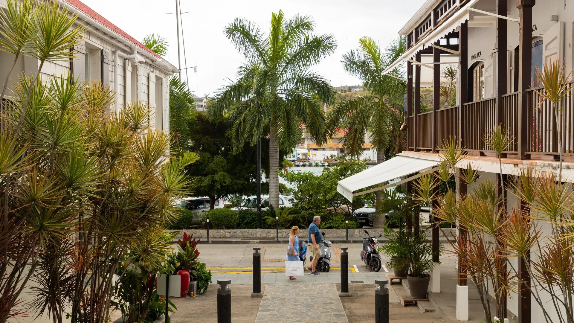 Visitors walking a palm-lined street in central Gustavia, St Barts, carrying shopping