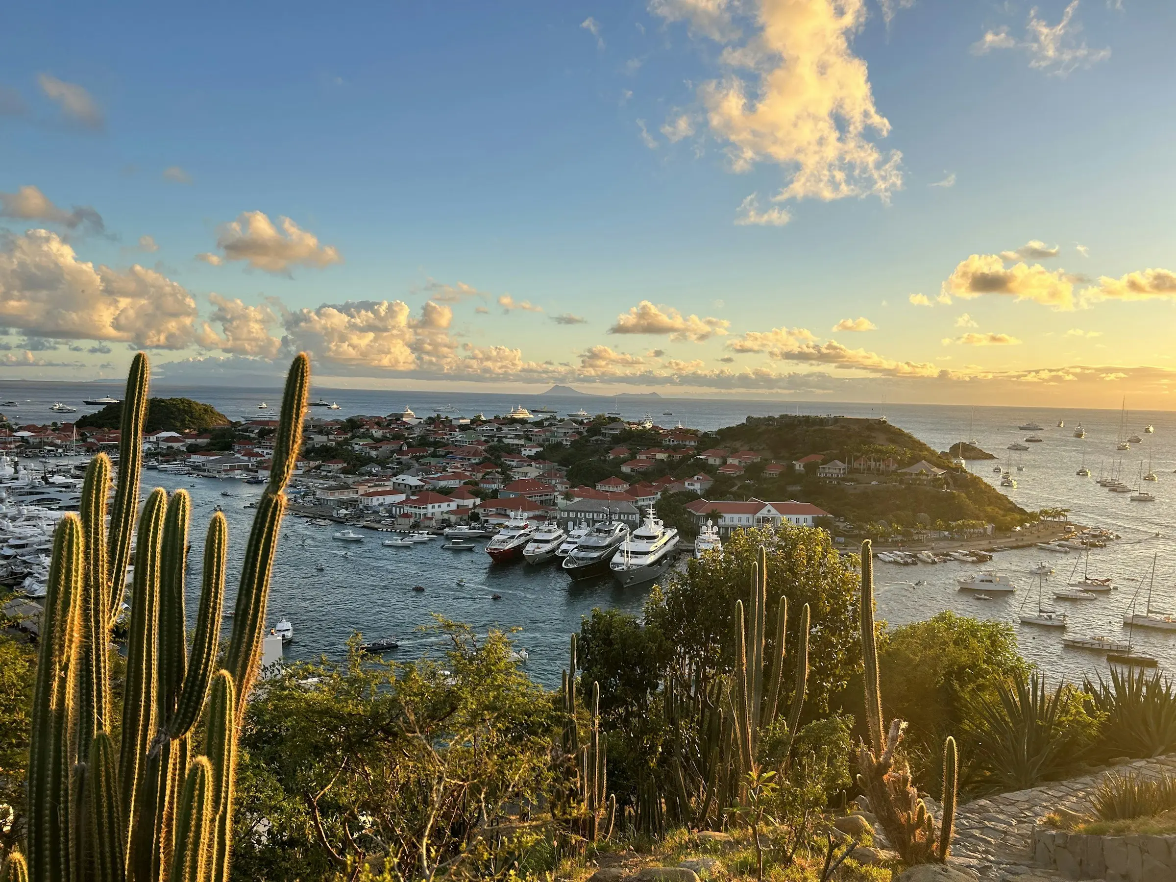 Gustavia harbour at sunset seen from the cactus-covered hill above the town