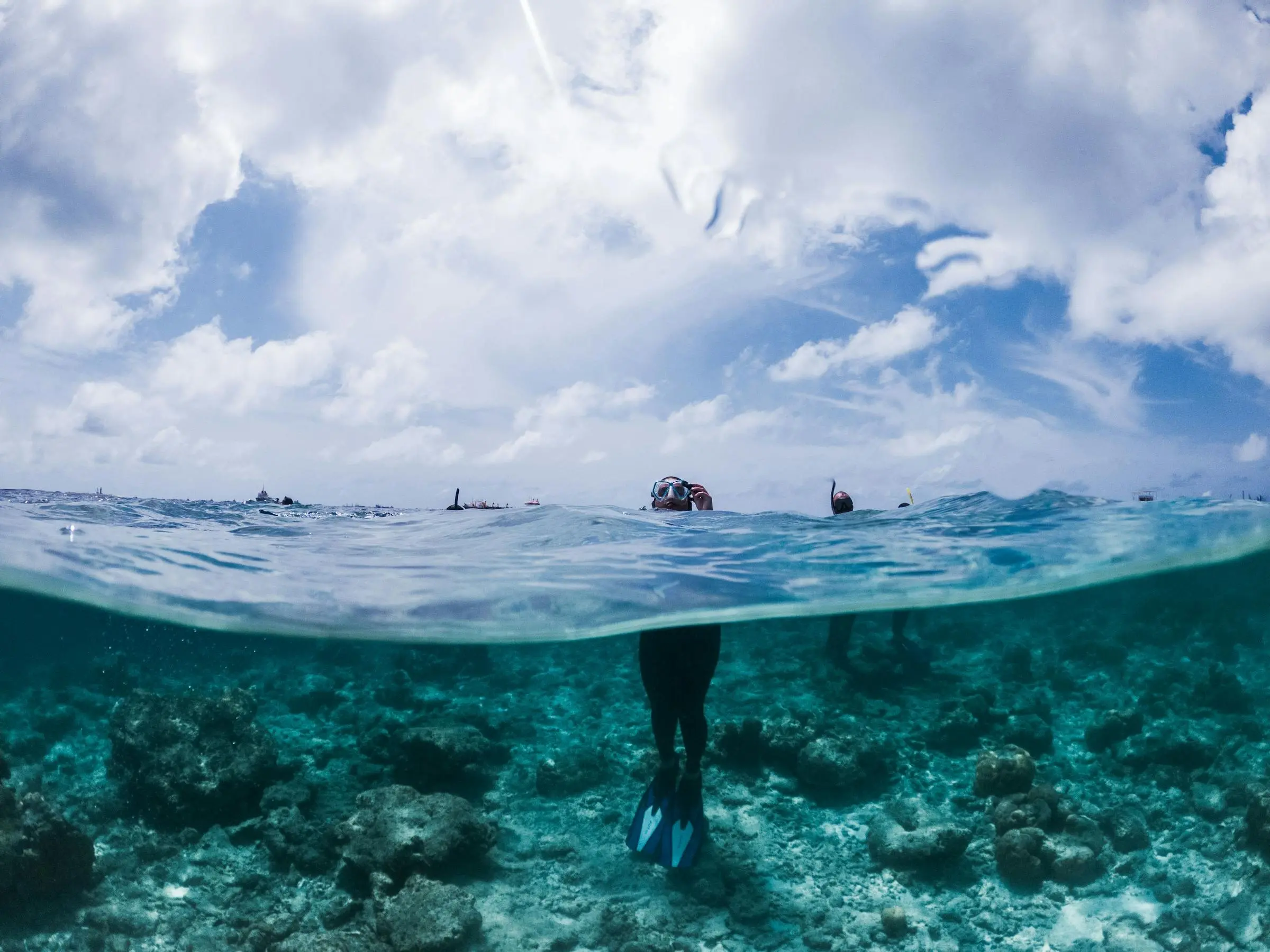 A snorkeler seen half underwater over a shallow reef